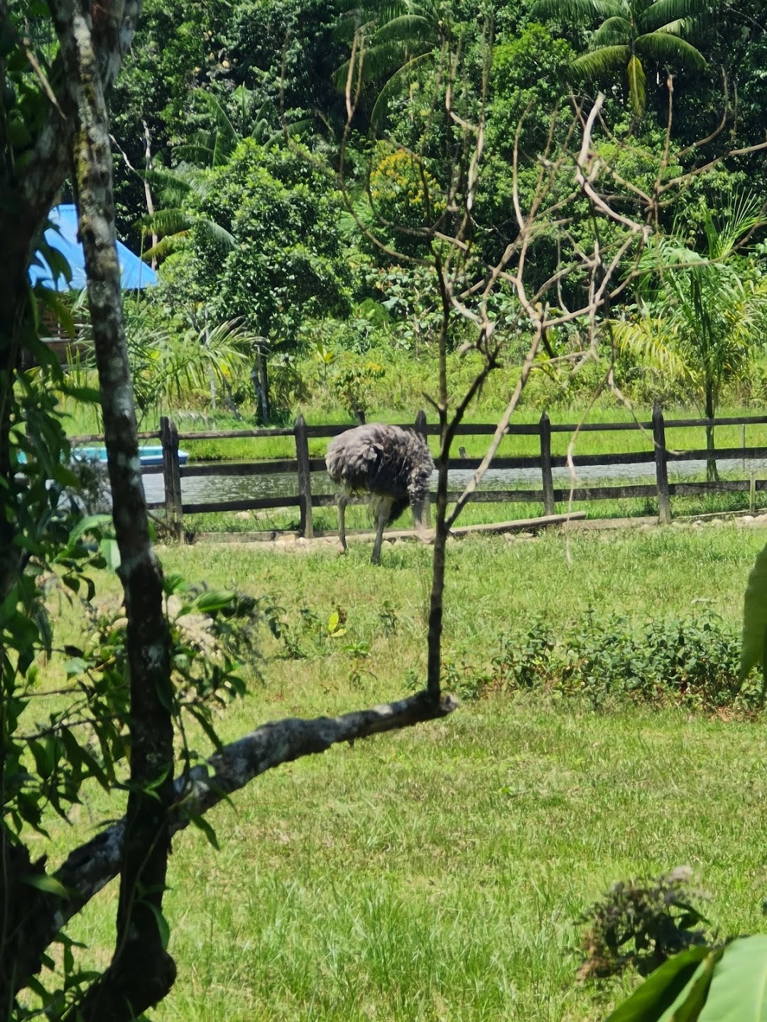 Centro Campestre Villa Sofia
