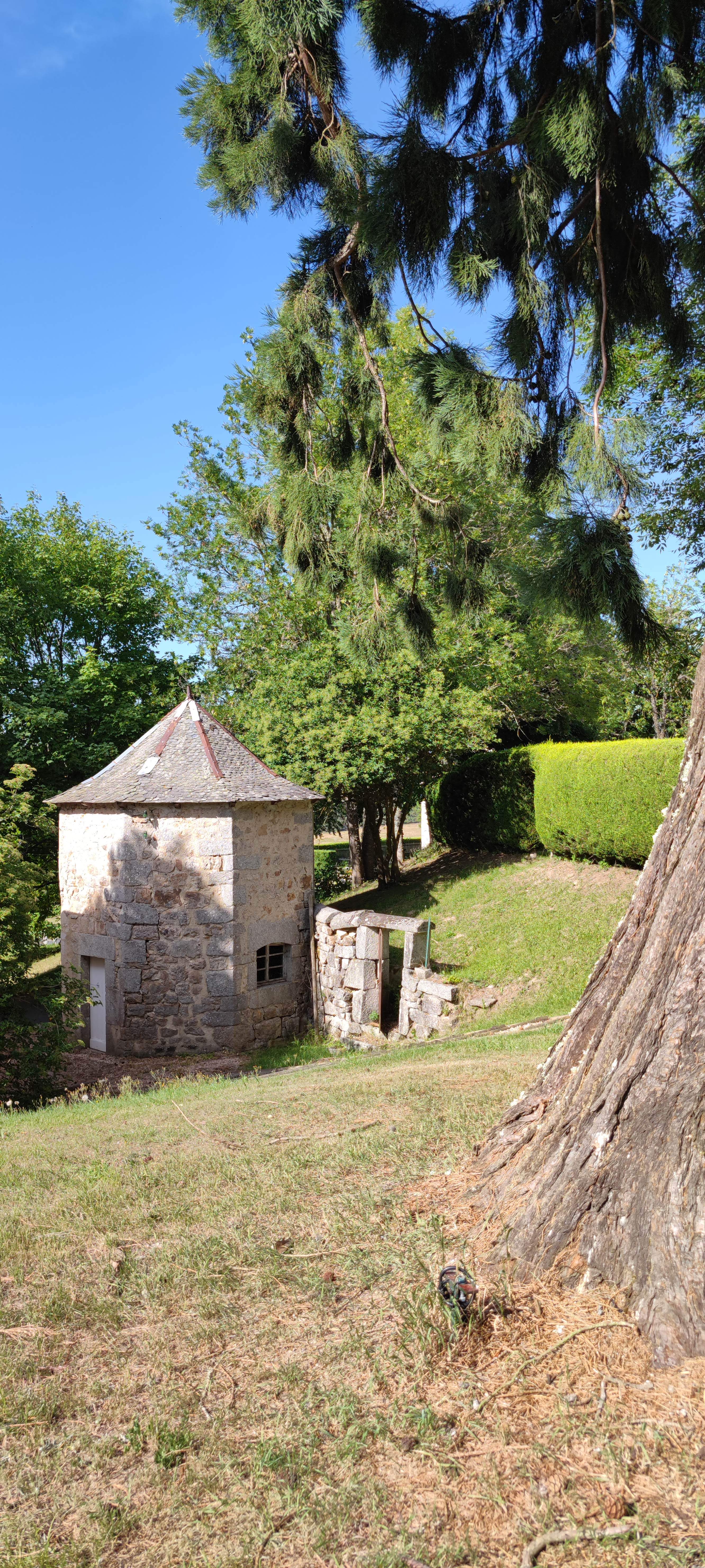 Photo n° 13 de l'avis de Miumiu.a fait le 07/07/2022 à 20:42