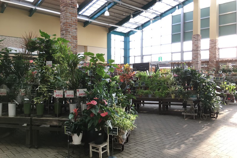 カインズ佐久平店 長野県佐久市佐久平駅南 ホームセンター グルコミ