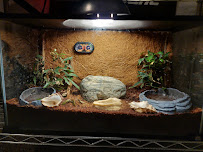 PetSmart - Photo 7 - Car repair in Phoenix, AZ, Phoenix