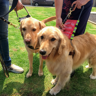 Escuela para Entrenamiento de Perros Guía Para Ciegos I.A.P.