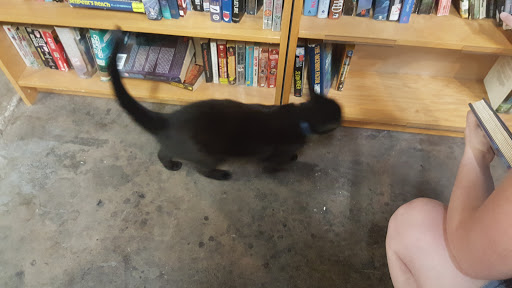 Book Store «Bargain Book Warehouse», reviews and photos, 104 Sahwatch St, Colorado Springs, CO 80903, USA