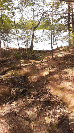 Historical Place Museum «Historic New England Hamilton House», reviews and photos, 40 Vaughans Ln, South Berwick, ME 03908, USA