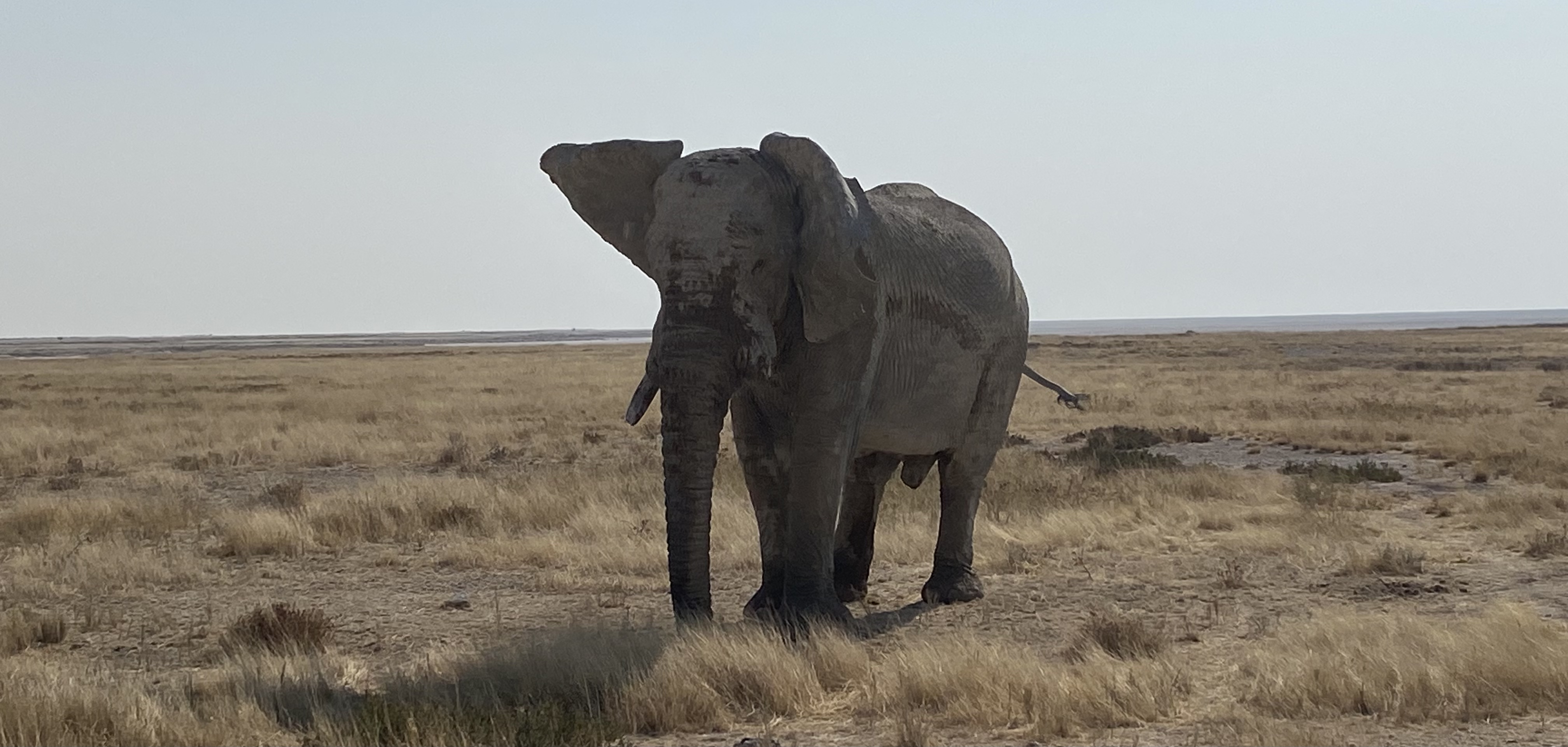 Photo n° 7 de l'avis de Rodolphe.o fait le 21/03/2024 à 06:35