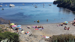 Photo de Cala Calitjas avec un niveau de propreté de assez propre