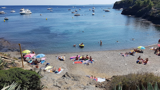 Cala Calitjas