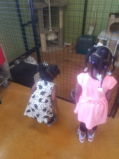Pet Store «Katie’s PET DEPOT®», reviews and photos, 1941 Foothill Blvd, La Verne, CA 91750, USA