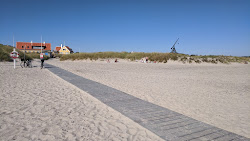 Skagen Sonder Beach'in fotoğrafı ve yerleşim
