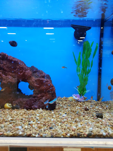 Pet Supply Store «Petco Animal Supplies», reviews and photos, 1507 Rockville Pike, Rockville, MD 20852, USA