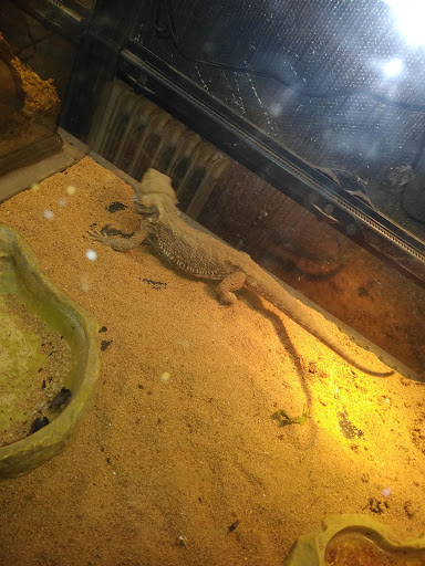 Pet Store «A to Z Pets», reviews and photos, 16010 SE Division St, Portland, OR 97236, USA