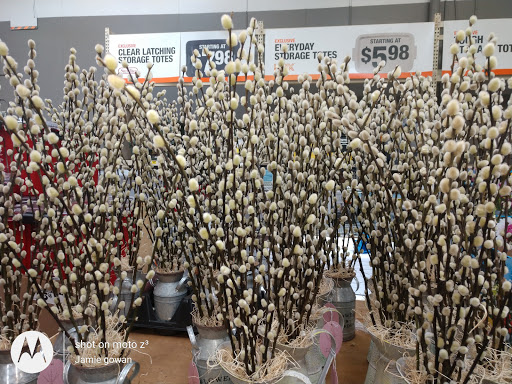 Shopping Mall «Consumer Centre», reviews and photos, 310 NJ-36, West Long Branch, NJ 07764, USA