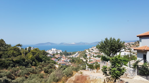 Güllük Orjan Sitesi Kooperatifi