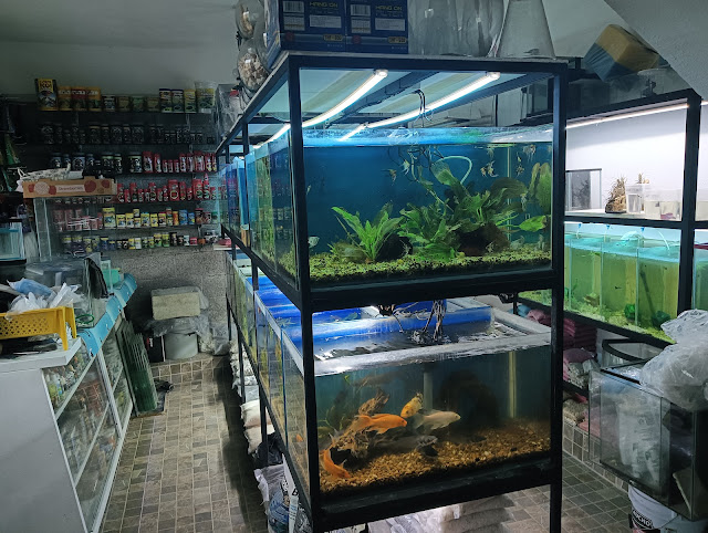 Acuario Mundo Marino de Querétaro