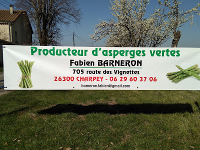 Asperges vertes artichauts Fraises BARNERON Fabien à Charpey