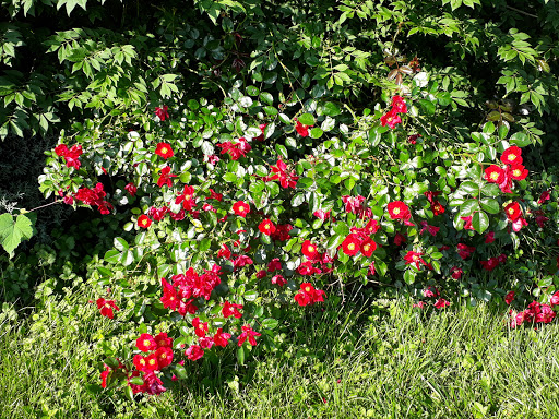 Museum «The George Washington Masonic National Memorial», reviews and photos, 101 Callahan Dr, Alexandria, VA 22301, USA