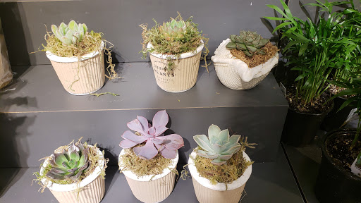 Supermarket «Giant», reviews and photos, 10653 Braddock Rd, Fairfax, VA 22032, USA