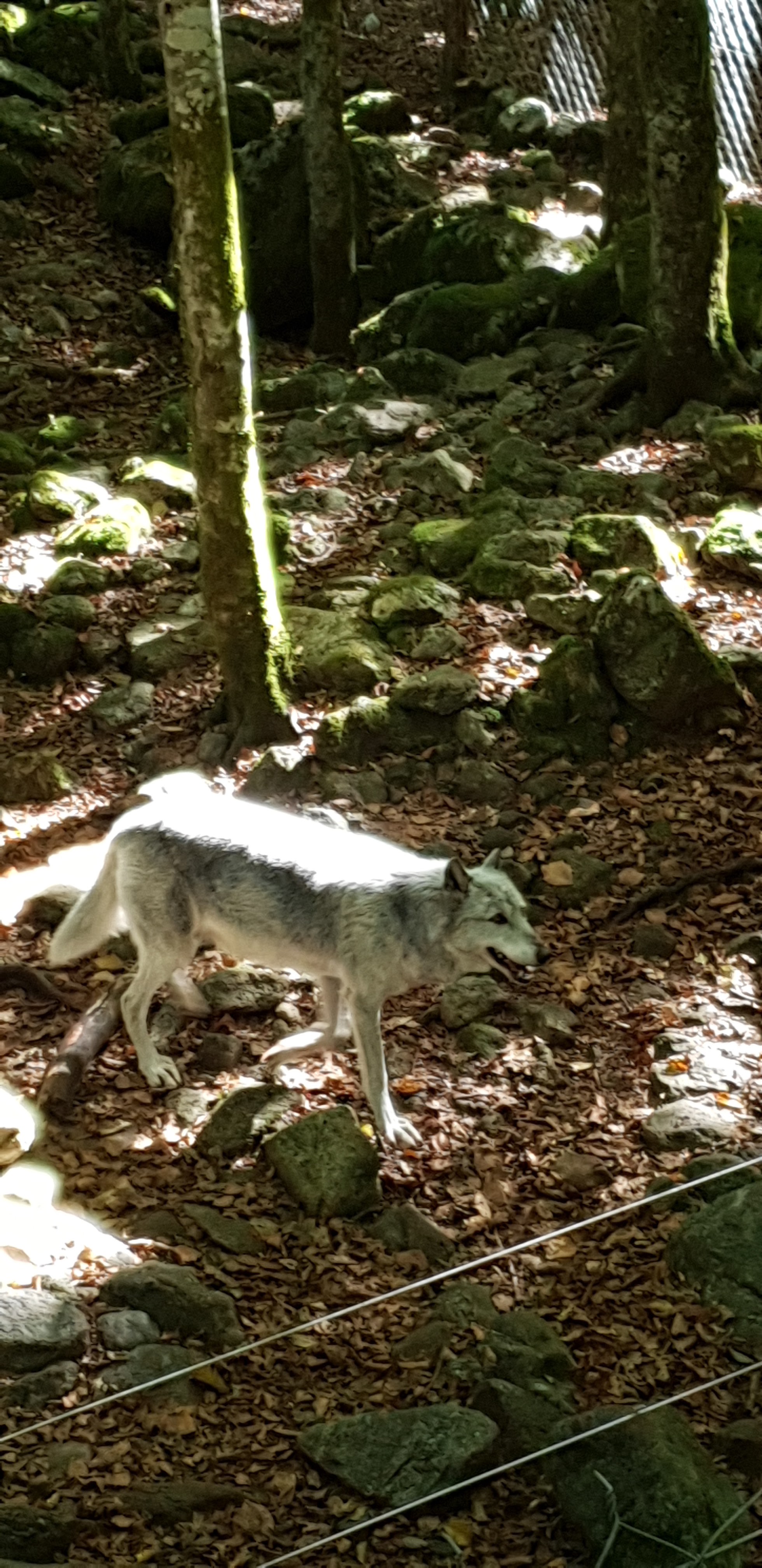 Photo n° 18 de l'avis de Christophe.e fait le 26/09/2018 à 10:29