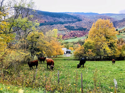 Thoiry à Thoiry