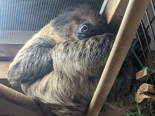 Pet Store «Zookeeper Exotics», reviews and photos, 9012 Research Blvd, Austin, TX 78758, USA