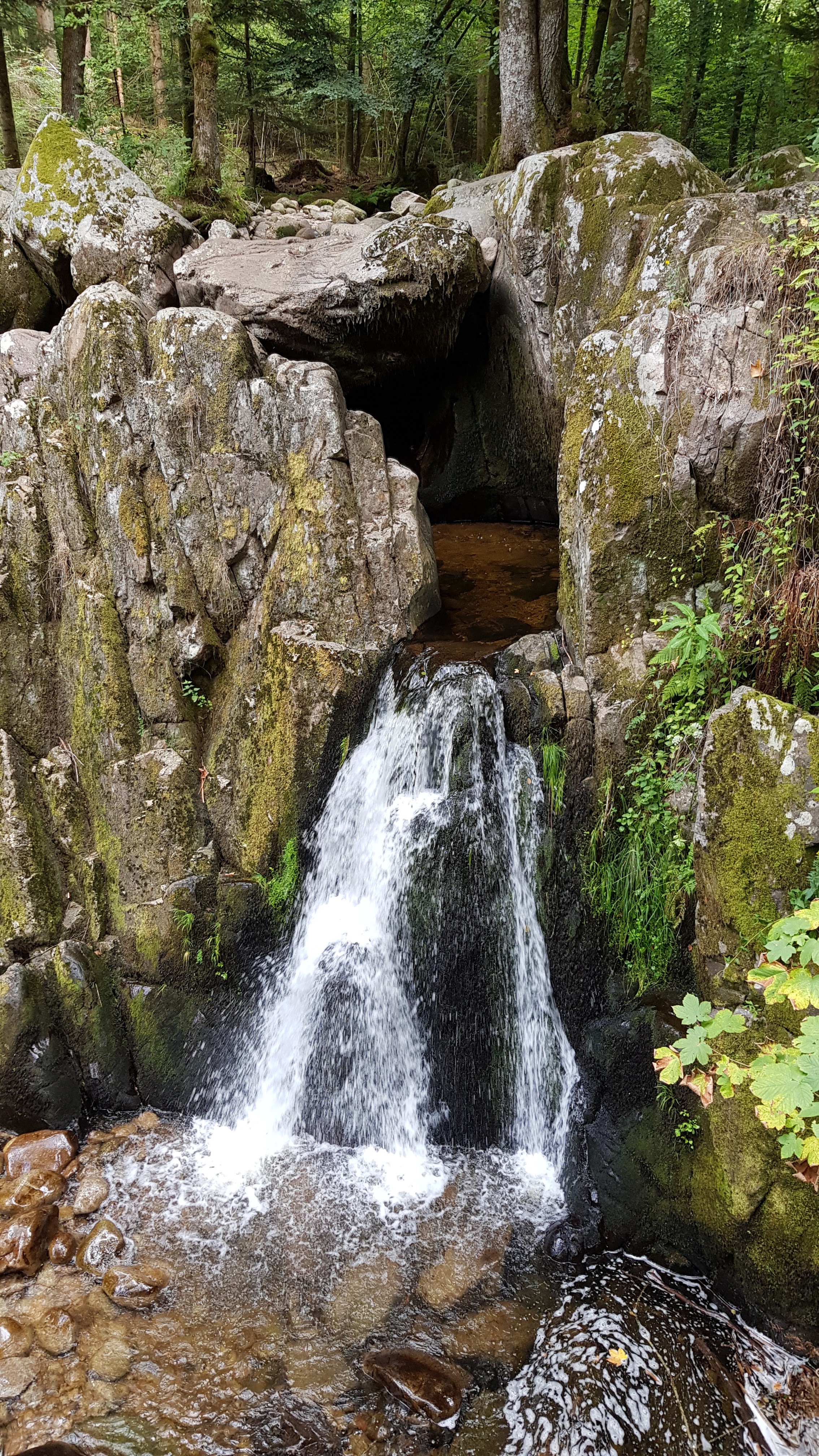 Photo n° 1 de l'avis de Sylvain.o fait le 30/08/2019 à 16:42