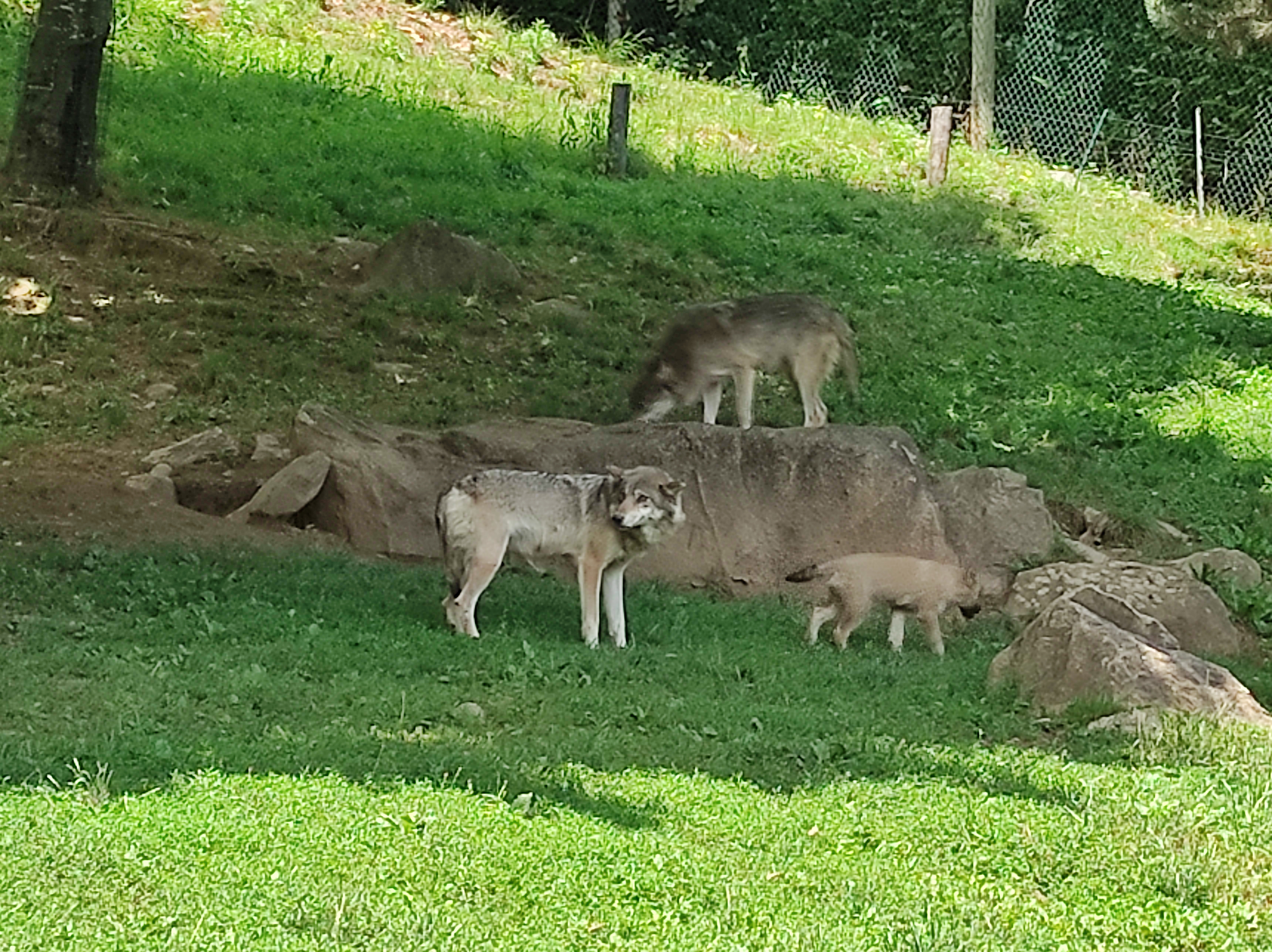 Photo n° 1 de l'avis de Ludovic.u fait le 08/07/2021 à 13:46