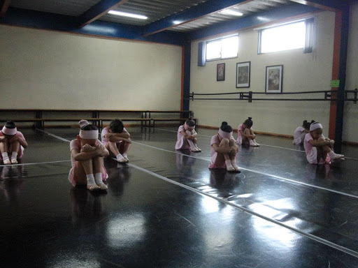 Danzllet, Escuela de danza