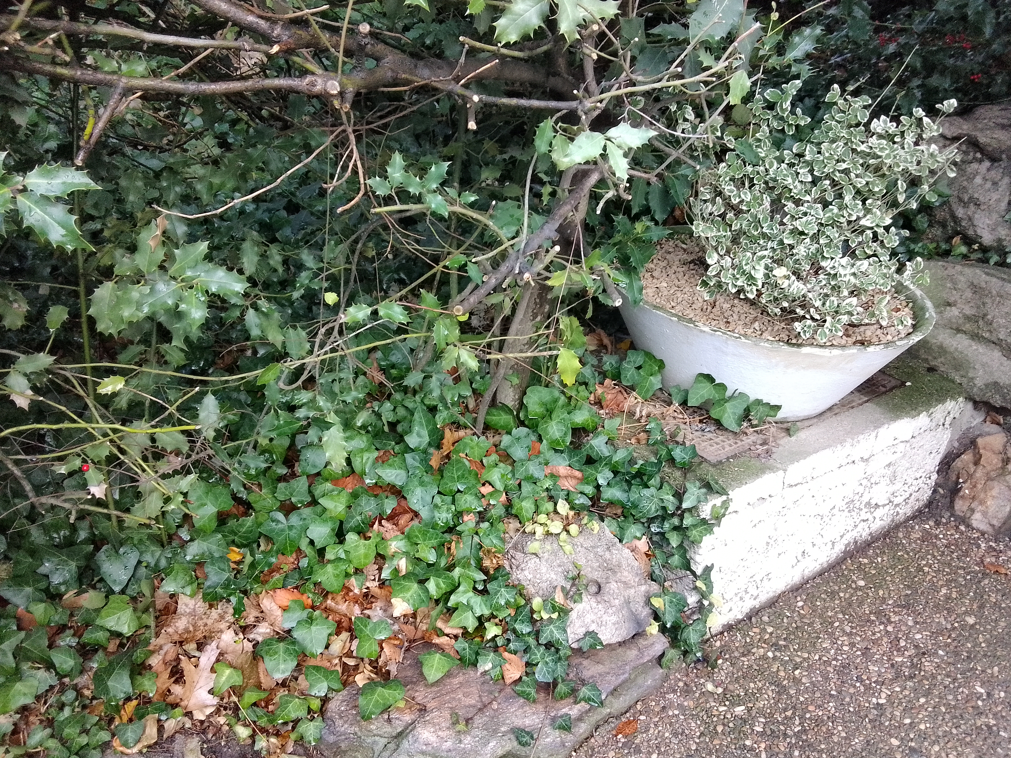 Photo n° 19 de l'avis de Lyson.m fait le 28/11/2023 à 11:34