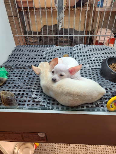 Pet Store «Pets Plus Inc», reviews and photos, 2610 Jefferson Davis Hwy, Stafford, VA 22554, USA