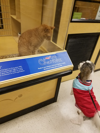 Pet Supply Store «PetSmart», reviews and photos, 1232 Hooper Ave, Toms River, NJ 08753, USA