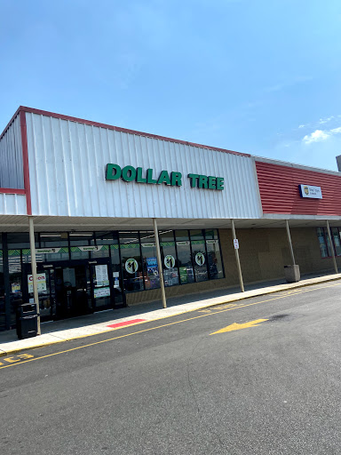 Dollar Store «Dollar Tree», reviews and photos, 135 Bloomfield Ave, Bloomfield, NJ 07003, USA