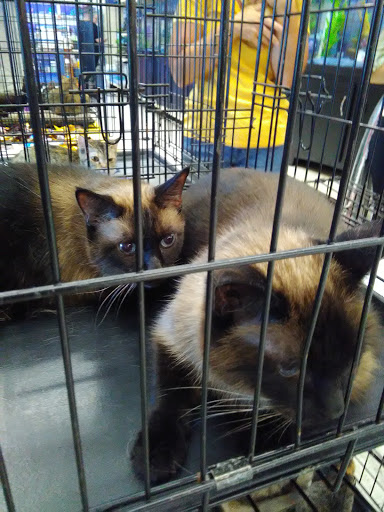 Pet Supply Store «PetSmart», reviews and photos, 215 N Burkhardt Rd, Evansville, IN 47715, USA