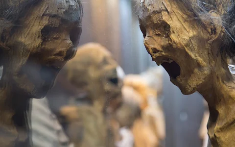 Museum of the Mummies of Guanajuato image