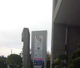 Aerolineas Ejecutivas photo