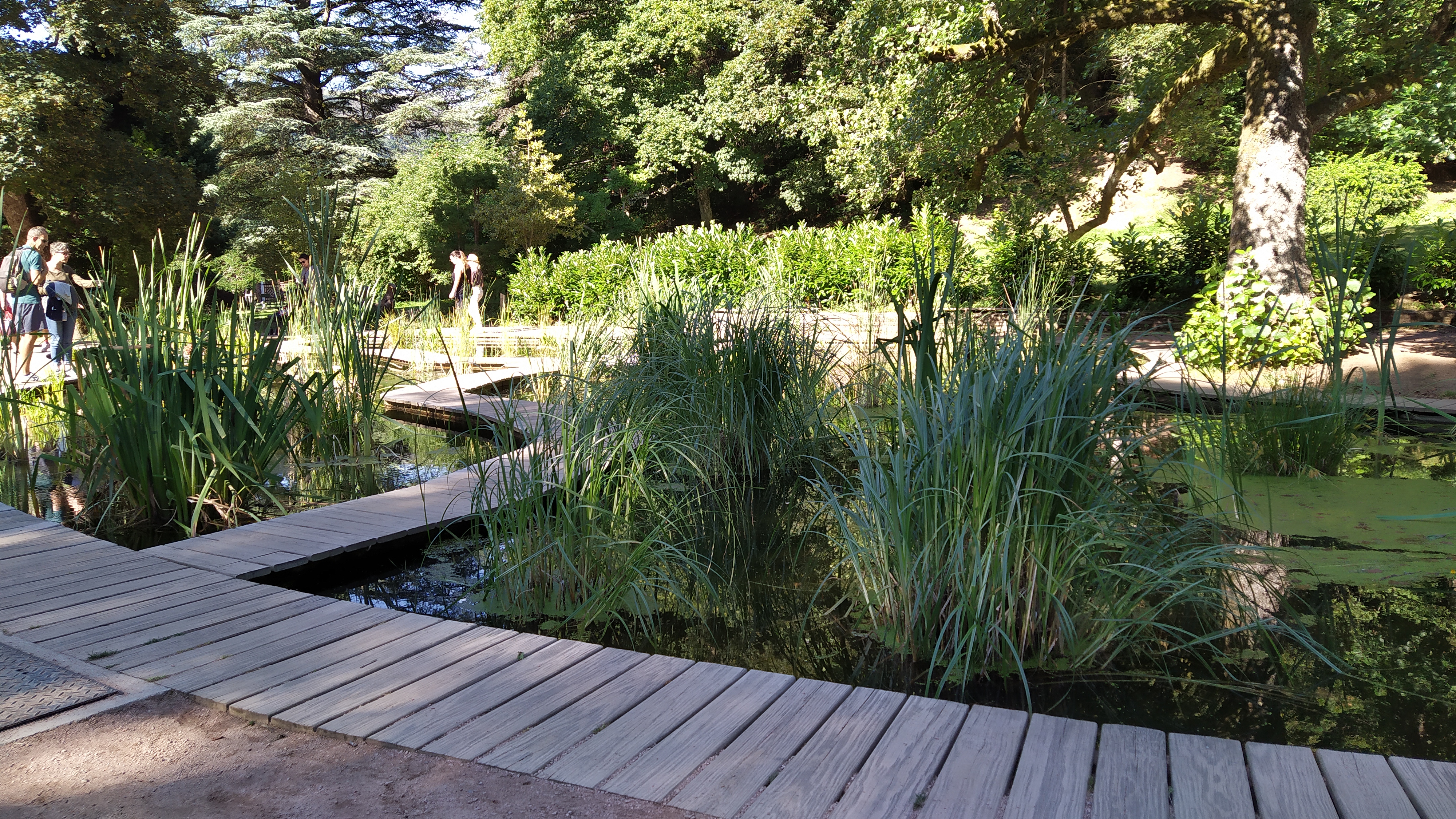 Photo n° 2 de l'avis de TaZx.a fait le 18/07/2020 à 18:59