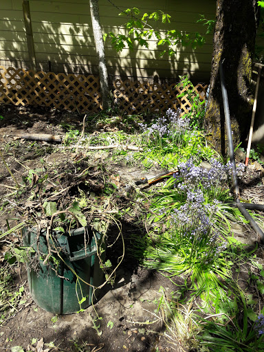 Park «Burlingame Park», reviews and photos, SW Falcon St & SW 12th Ave, Portland, OR 97219, USA