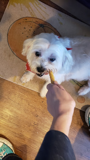 Pet Store «Oak Clips Pet Boutique & Grooming», reviews and photos, 502 N Edgefield Ave, Dallas, TX 75208, USA