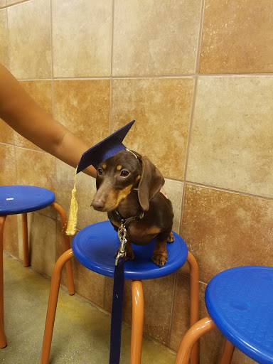 Pet Supply Store «PetSmart», reviews and photos, 139 Rolling Hills Cir, Easley, SC 29640, USA