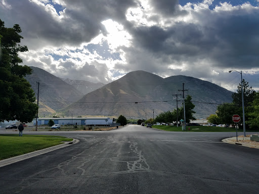 Provo Park & Park Forestry