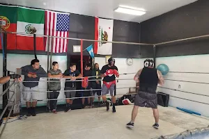 DownTown Boxing Club image
