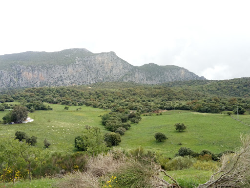 Información y opiniones sobre Telepizza de Ubrique