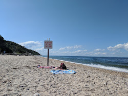 Port Jefferson East'in fotoğrafı çok temiz temizlik seviyesi ile