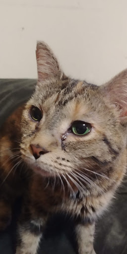 Pet Supply Store «Pet Supplies Plus», reviews and photos, 1380 W Lane Ave, Upper Arlington, OH 43221, USA