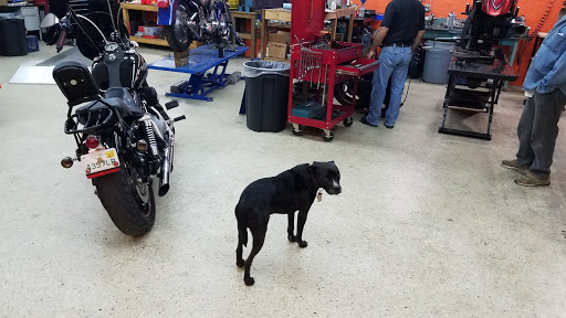 Motorcycle Repair Shop «Hogs Angels Inc.», reviews and photos, 2037 S Pine Ave, Ocala, FL 34471, USA