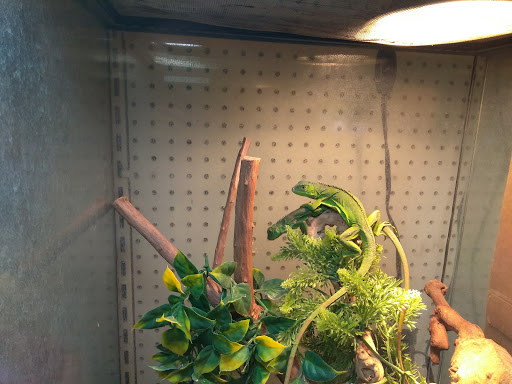 Pet Supply Store «Pet Bazaar», reviews and photos, 490 FL-436, Casselberry, FL 32707, USA