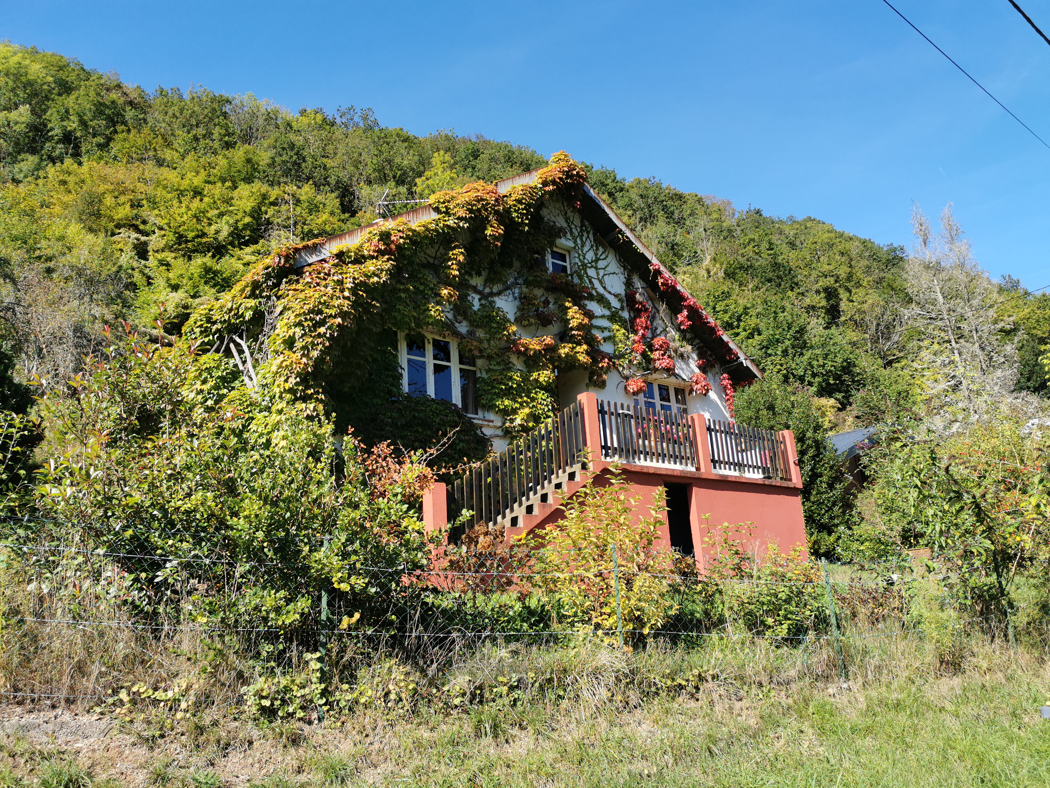 Photo n° 4 de l'avis de Elli.i fait le 29/10/2021 à 10:14