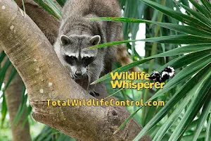A Wildlife Whisperer image