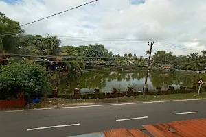 Thonniyakavu Temple Pond image