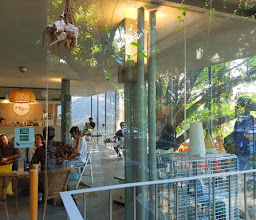the jamu BAR photo