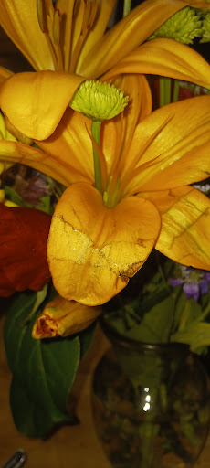 Florist «The Florist Family», reviews and photos, 12747 49th St N, Clearwater, FL 33762, USA