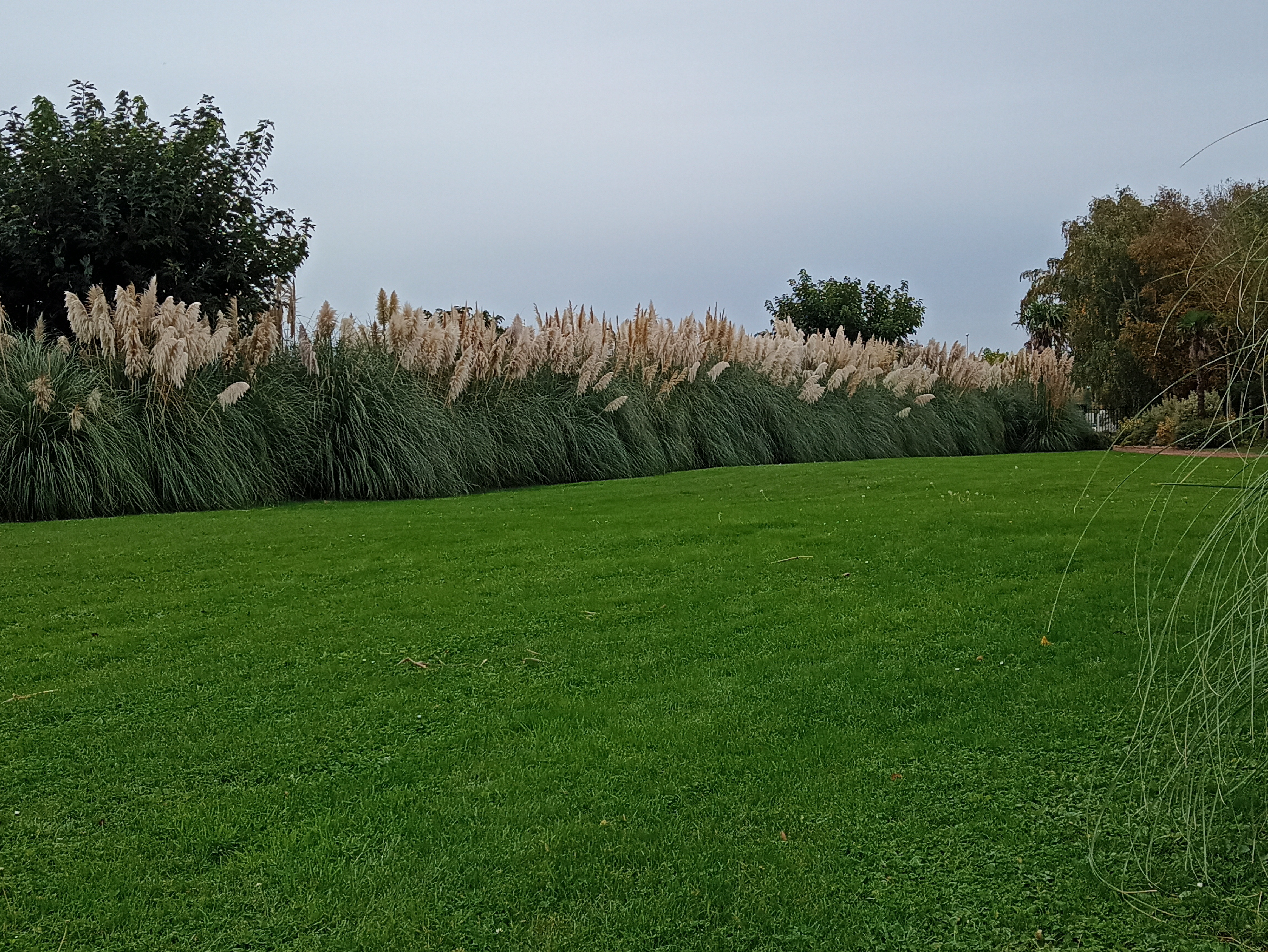Photo n° 4 de l'avis de Mar.A fait le 23/10/2023 à 17:36